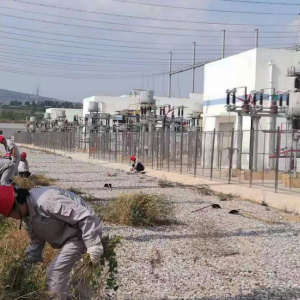 �X�V�Ͻ�ֹ�˾��(d��ng)��܇�g�h֧�� �_չ����s���x��(w��)�ڄ�(d��ng)