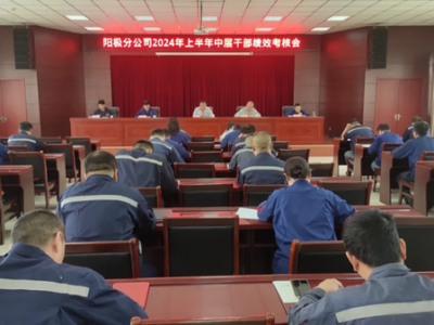 �(y��ng)�O�ֹ�˾���_2024���ϰ����ЌӸɲ���(j��)Ч���˕�(hu��)