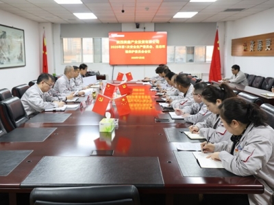 ��˾���_2025���1�ΰ�ȫ���a(ch��n)ί�T�������B(t��i)�h(hu��n)�����oί�T�����h